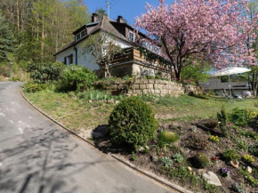 Attractive apartment in Franconia with garden